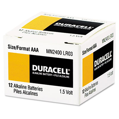 Coppertop Alkaline Batteries Aaa