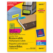 Multipurpose Labels, Remov, 2"x4", 80/PK, Ast. .