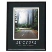 Success Poster, 24"x30", Black Frame. 1 EA/BX.