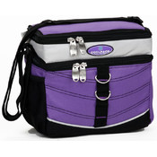 Deluxe Insulated Lunch Tote