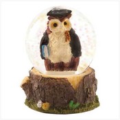 Scholarly Owl Waterglobe
