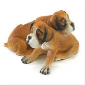 Wholesale Pet Breed Products