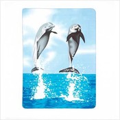 Dolphin - Fleece Blanket
