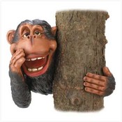 Hide &amp; Seek Monkey - Tree Decor