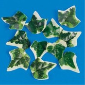 Silk Variegated Ivy Leaves