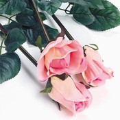 Realistic Pink Roses