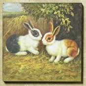 Bunny Print
