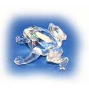 Beautiful Crystal Frog