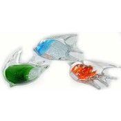 Glass Angel Fish