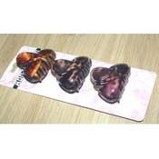 Women's Hair Clips