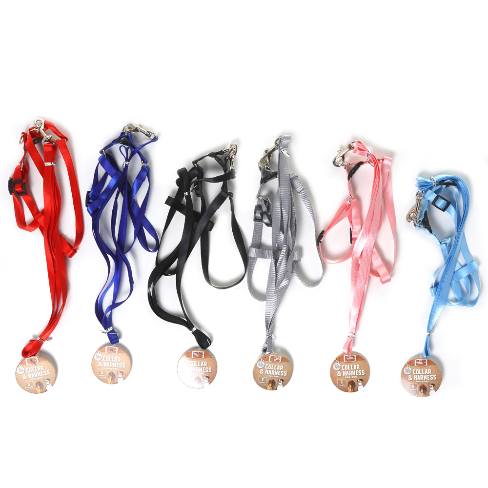 Wholesale Leashes w/Harness Assorted Colors, Small, 47.24"