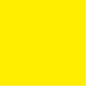 Posterboard - Neon - Yellow -  22" x 28"