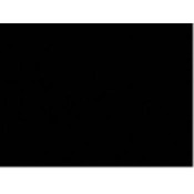 Poster Board - Black - 22' x 28' Wholesale Bulk