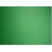 POSTERBOARD - DARK GREEN - 22' x 28' Wholesale Bulk