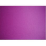 POSTERBOARD - MAGENTA - 22' X 28' Wholesale Bulk