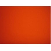POSTERBOARD - NEON - RED - 22' X 28' Wholesale Bulk