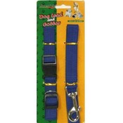 Lead And Collar
