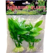 Small Aquarium Plants