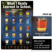 What I Really Learned In School Poster