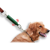 Dog Tweeter Training Aid