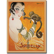 Spinelly-Gallery Wrapped Canvas Art