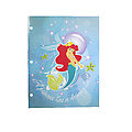 Little Mermaid Portfolios