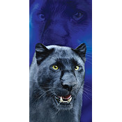 Panther Beach Towels