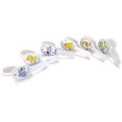 Nuby Deluxe Comb and Brush Set