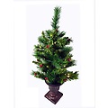 2.5' Pre-Lit Potted Battery Operated LED Lighted Dew Berry Christmas Tree