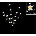 24" Enchanted Garden Battery Operated LED Lighted White Flower Branch Spray