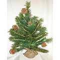 2' Royal Oregon Pine Christmas Tree With Burlap Ba