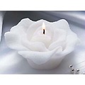 Pack of 6 Vanilla Scented Velvet Rose Shaped Candles