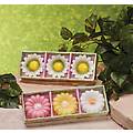 Pack of 6 Garden Party Floral Scented Floating Can