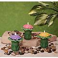 Pack of 6 Garden Party Potted Flower Hibiscus Scented Candles
