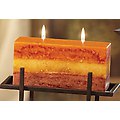 Pack of 2 Naturals Rejuvenate Aromatherapy Scented Double Wick Brick Candles