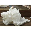 Pack of 4 Beach Inspired "Seashell" Shaped Ocean Mist Scented Candles