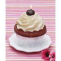 Pack of 6 Sweet Treats Cupcake Candles - Chocolate Truffle Scented