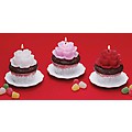 Pack of 6 Sweet Treats Carnation Cupcake Candles - Black Cherry Scented