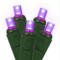 Set of 50 Commercial Grade Purple LED Wide Angle Christmas Lights - Green Wire