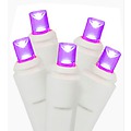Set of 50 Commercial Grade Purple LED Wide Angle Christmas Lights - White Wire