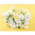 Pack of 2 Artificial Dogwood Glass Hurricane Candle Ring Holder Centerpieces 18"