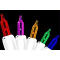 Set of 50 Multi-Color Everglow Mini Christmas Lights - White Wire
