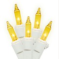 Set of 50 Transparent Gold Mini Christmas Lights - White Wire