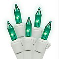 Set of 50 Teal Mini Christmas Lights - White Wire