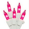 Set of 100 Pink Mini Christmas Lights - White Wire