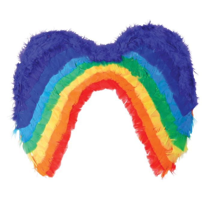 Wholesale Rainbow Feather Costume Wings DollarDays