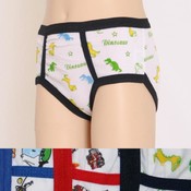 Swan Boy's Briefs