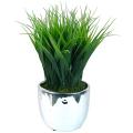 Grass in Silver Ceramic Container - Set of 2 Units