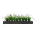 Green Grass in Contemporary Wood Planter