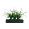 Green Grass in Contemporary Wood Planter